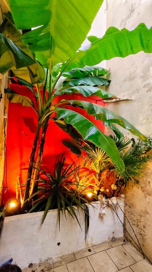 Votre Escale Jungle Sauna & Spa Niort Exteriör bild